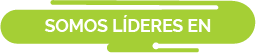 Somos líderes en: